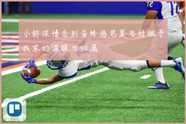 小桥深情告别黄蜂感恩夏洛特赋予我家的温暖与归属